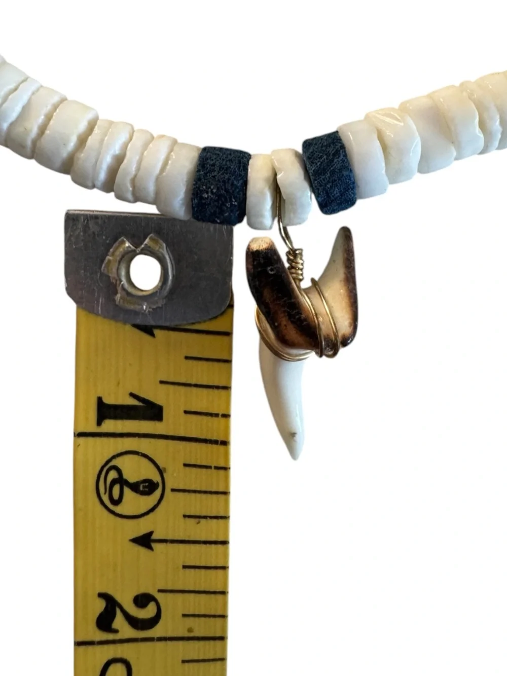 Shell Disk Necklace with Shark Tooth Pendant
